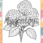 Flowers Coloring Book - Free Dowload