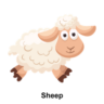 Sheep